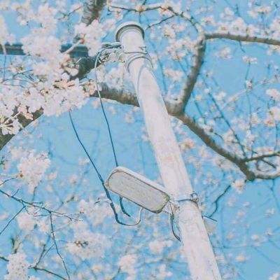 天启联盟手游百度版下载